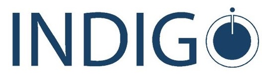 Indigo SAAS - Partner yearly subscription